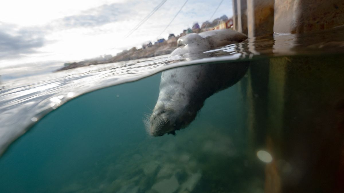 Klima, znečištění a navrch turisté. Fotky ukazují ohrožený svět Inuitů